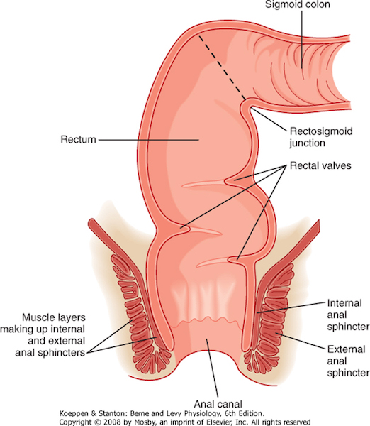 Voilent deep throat