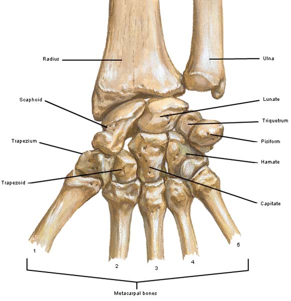 “Jamie’s Hand – Symbol of Sacrifice”