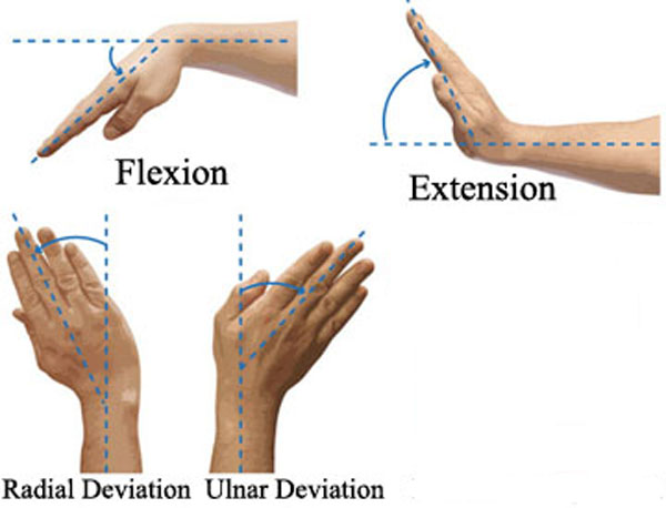 Flexion_Extension_Pronation_Supination KLS edited