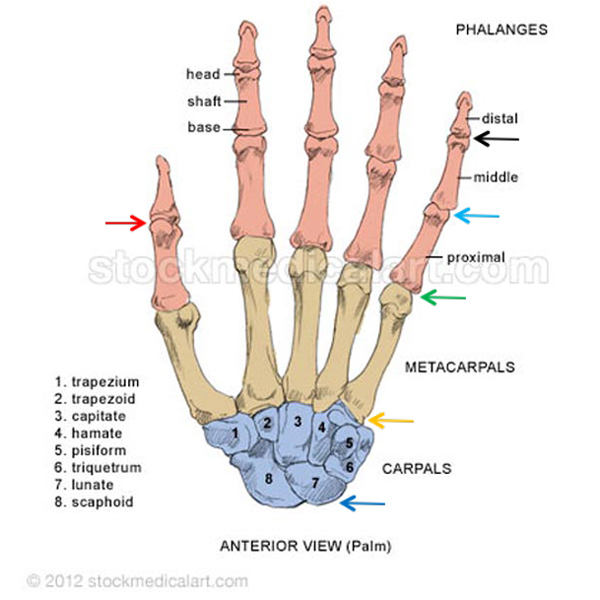 “Harming Hands – Helping Hands – Healing Hands”