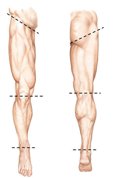 Figure0467-KLS-edited-02