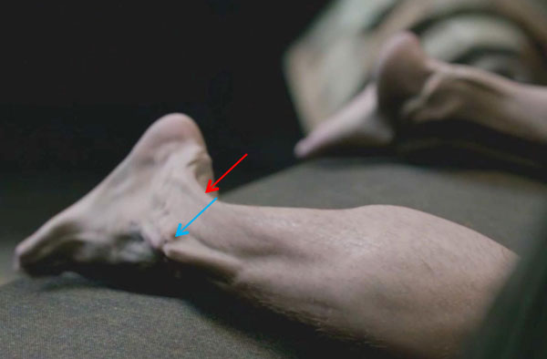 ep-103-Colums-legs-04-KLS-edited-1