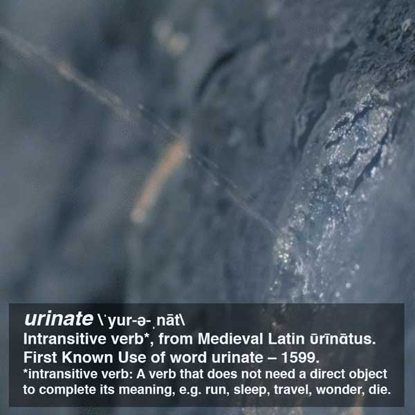 urinate