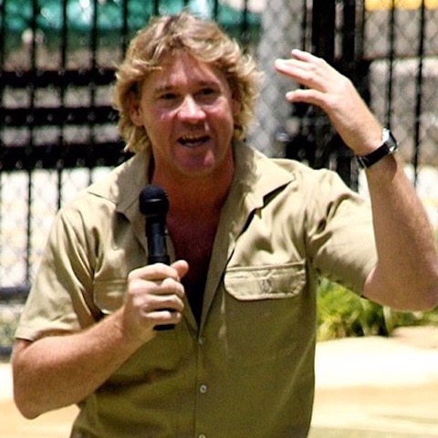 520px-Steve_Irwin