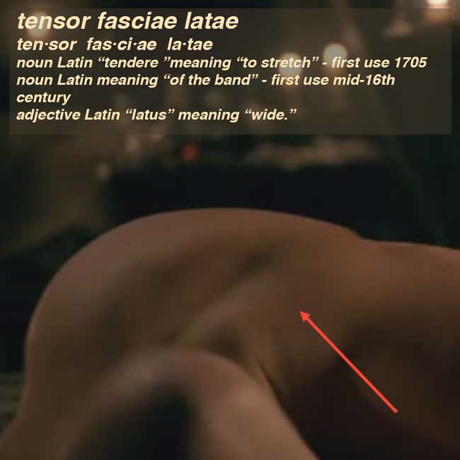 tensor-fasciae-latae