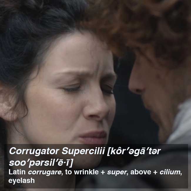 corrugator-supercilii