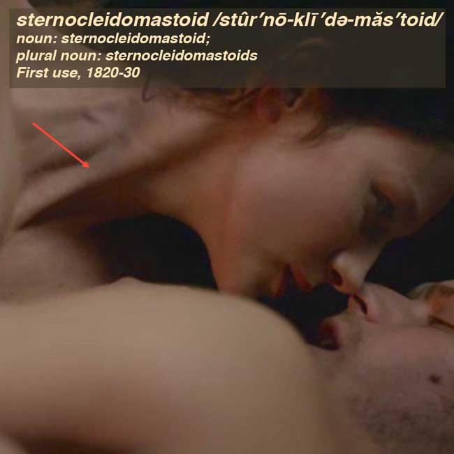 sternocleidomastoid-