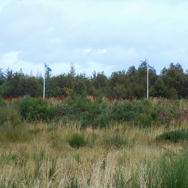 Culloden 14