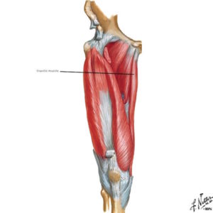 jamie and claire – Page 5 – Outlander Anatomy