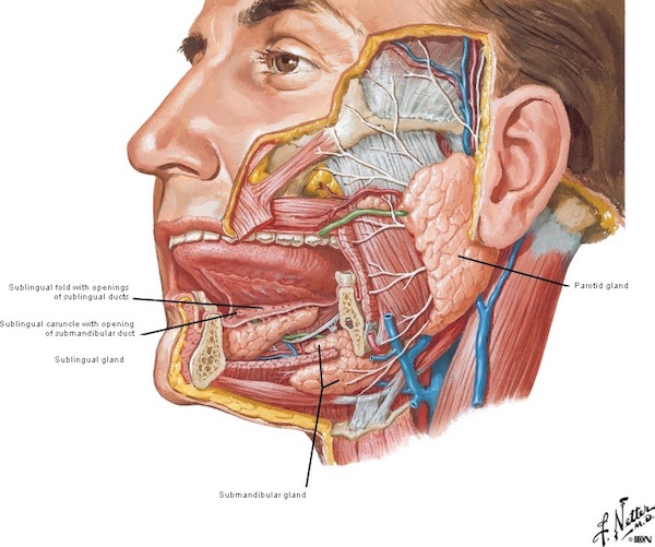 figure0057a-copy