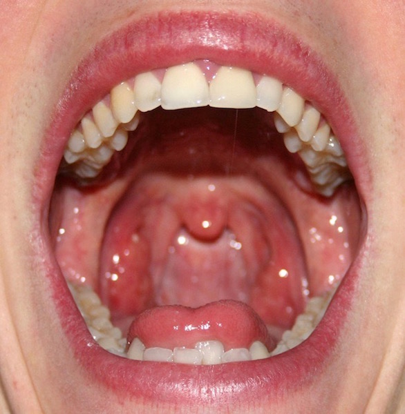 mouth