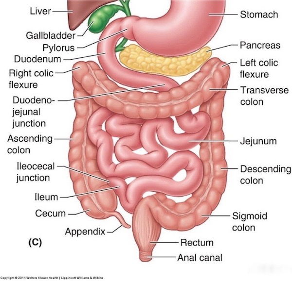 view clinical neurology