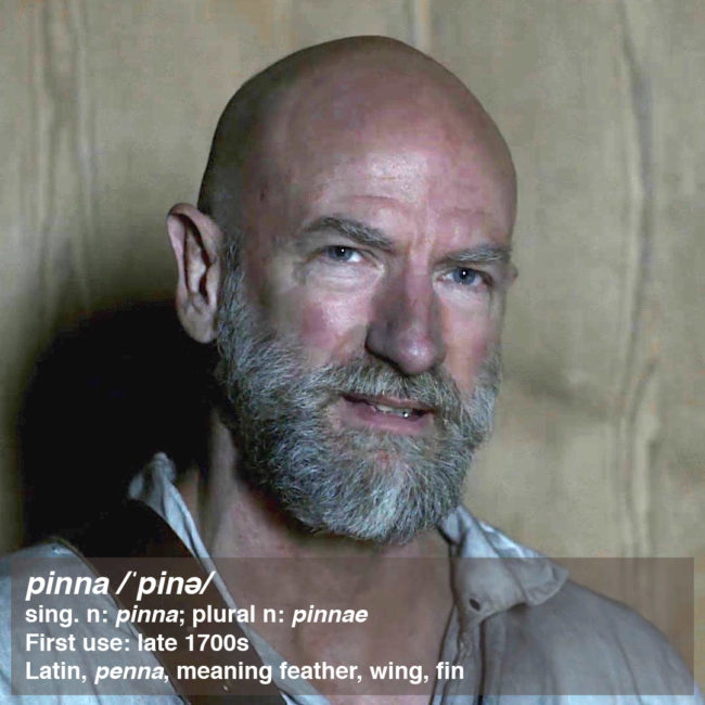 Dougal Mackenzie's Graham McTavish's pinna